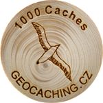 1000 Caches