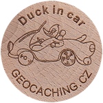 Duck in car