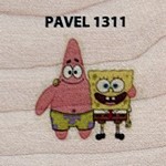 Pavel 1311