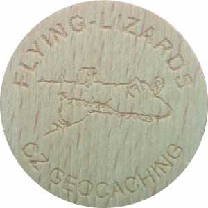 FLYING-LIZARDS