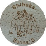 Shibake
