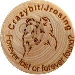 Crazybit/Jrossing / Forever lost or forever found?