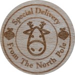 Special Delivery From The North Pole