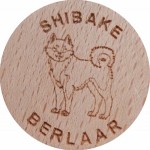 SHIBAKE BERLAAR