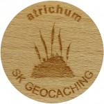 atrichum
