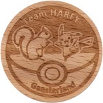 team harfy