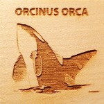 ORCINUS ORCA