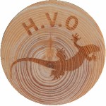 H.V.O