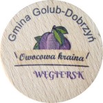 Gmina Golub-Dobrzyń