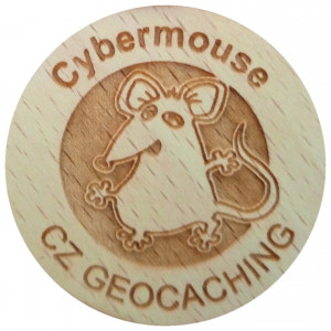 Cybermouse