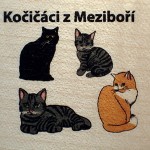 Kočičáci z Meziboří