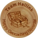 Team Hallink