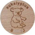 eukalyptus