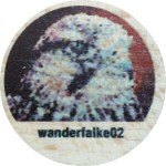 wanderfalke02