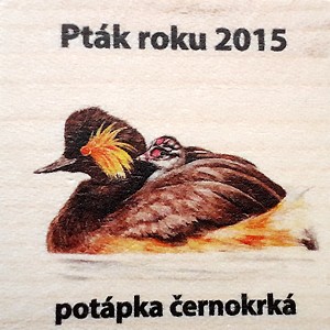Pták roku 2015
