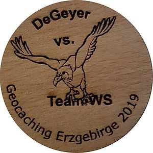 DeGeyer vs. Team WS