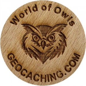 World of Owls