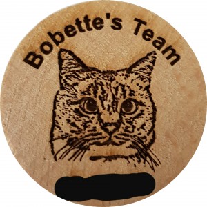 Bobette's Team 