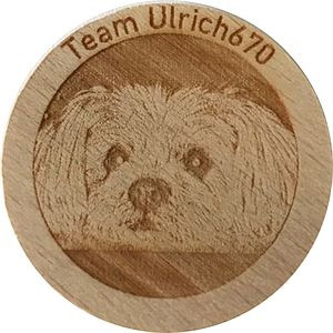 Team Ulrich670