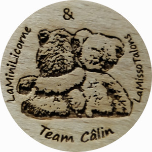 Team Câlin