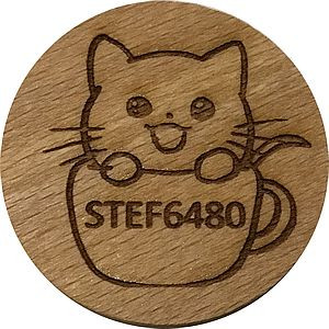 STEF6480