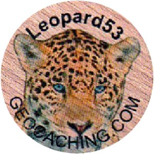 Leopard53