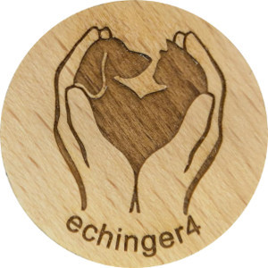 echinger4