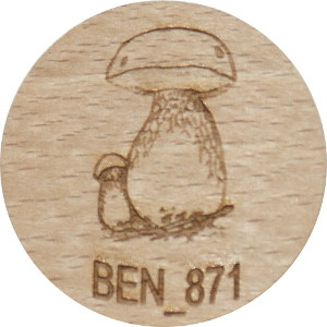 Ben_871