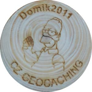 Domik2011
