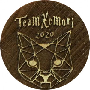 Team Xemori