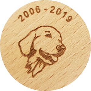 2006 - 2019
