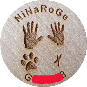 NiNaRoGe