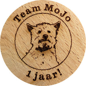 Team MoJo