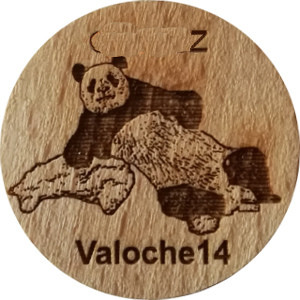 Valoche14