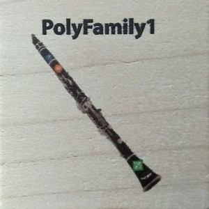 PolyFamily1