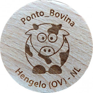 Ponto_Bovina