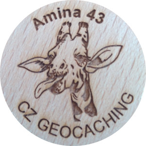 Amina 43