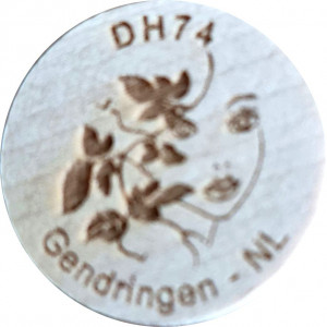 DH74