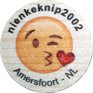 nienkeknip2002