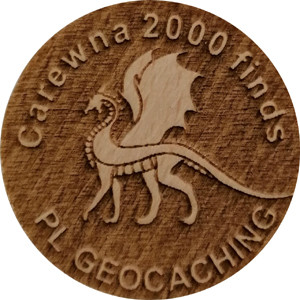Carewna 2000 finds
