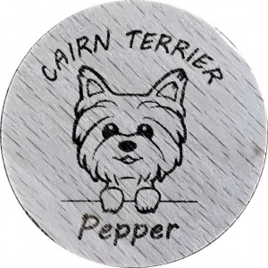 CAIRN TERRIER Pepper