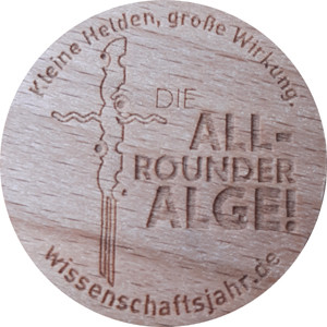 Die All-rounder Alge!