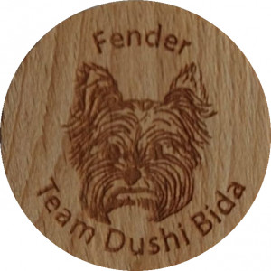 Fender - Team Dushi Bida