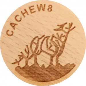 CACHEW8