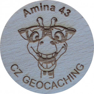 Amina 43