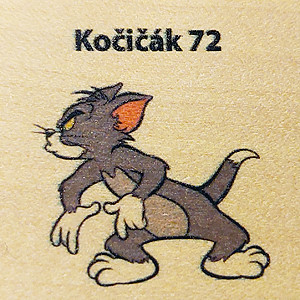 Kočičák 72