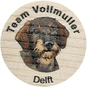 Team Vollmuller