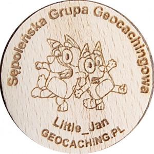 Sępoleńska Grupa Geocachingowa