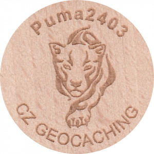 Puma2403