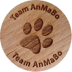 Team AnMaBo